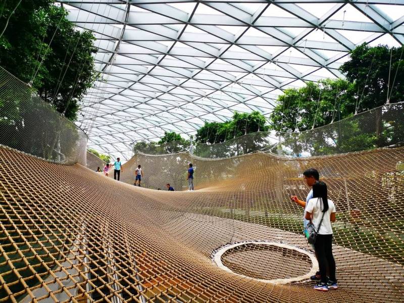 新加坡的医护人员们快来,带上你的家人享受免费门票