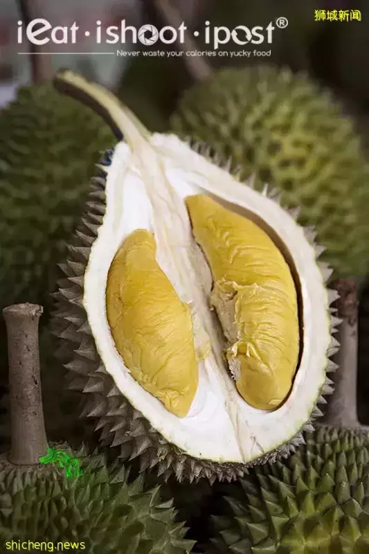 实拍实测！新加坡芽笼那些2元、5元的榴梿到底好吃吗