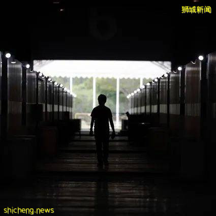 專家預測新加坡將日增1萬！網友吐槽：喊了兩年加油，最後自己參加總決賽