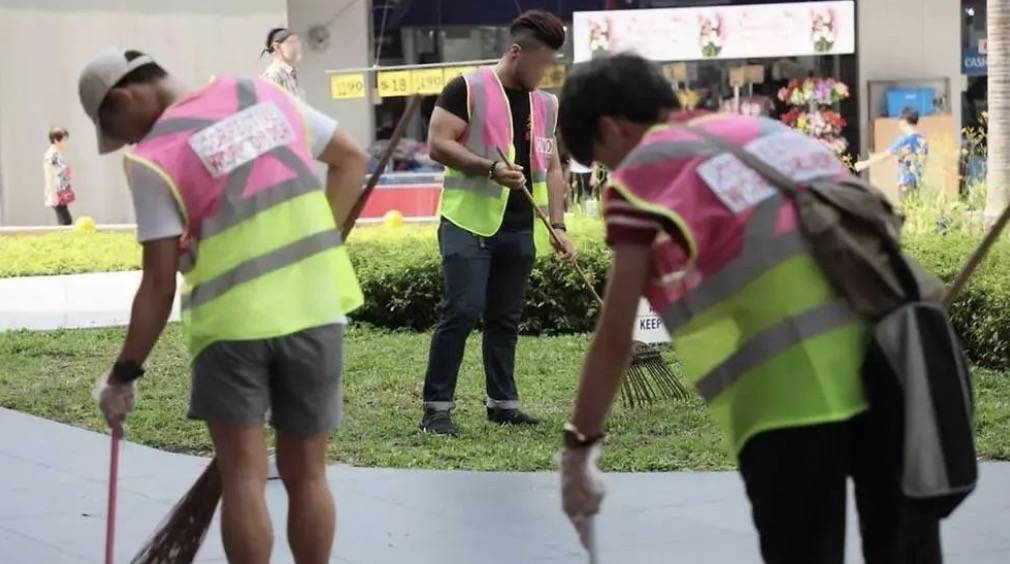 四人在新加坡餵野豬犯法,共被罰1萬新幣!這些罰款規定太多人踩雷
