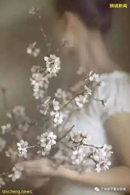 为何新加坡单身女孩的异性缘都不是那么好