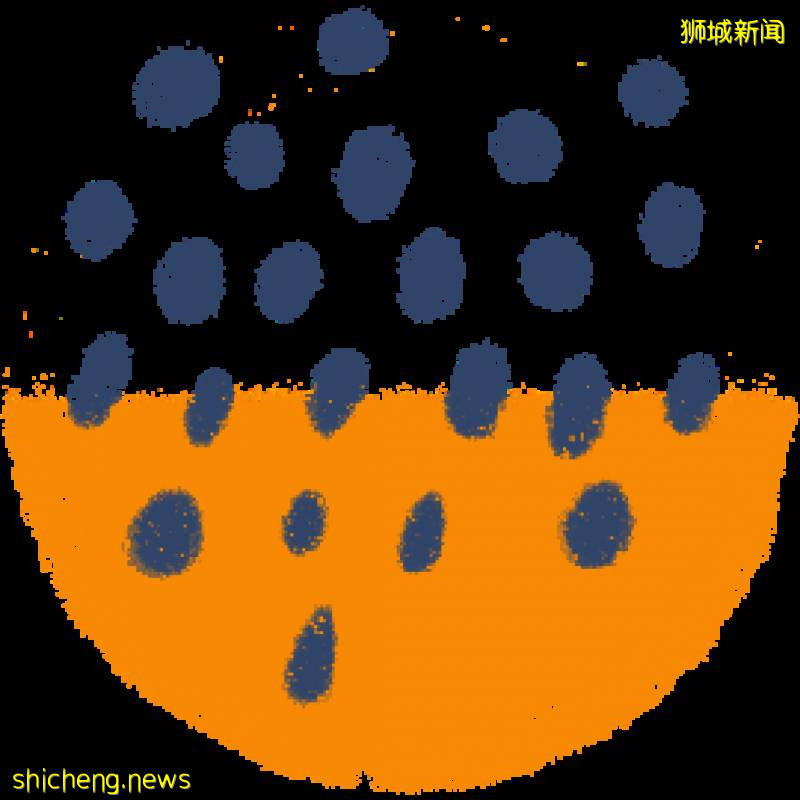 新加坡留学趋势解读：如何选择合适的升学方案!