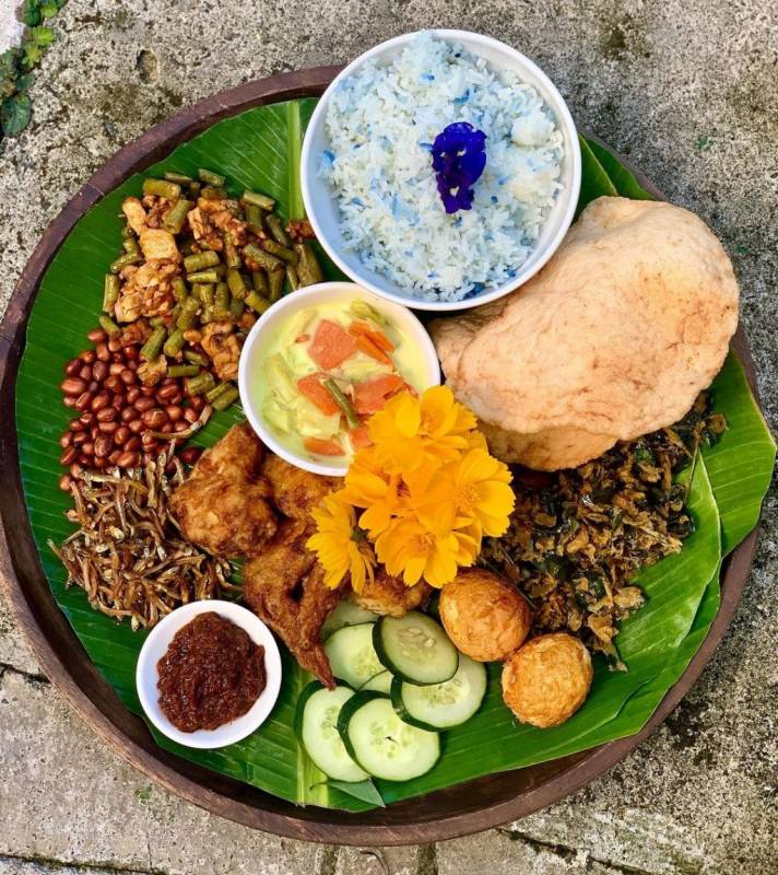 新加坡新大陸！Bollywood Veggies有機農場👩🏻‍🌾 市區外的田園風光 + 治愈寶地