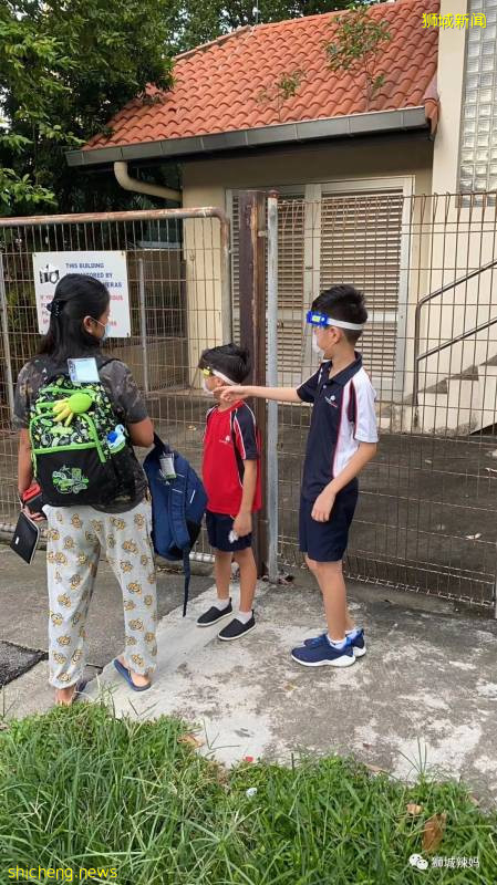 神兽出山！新加坡复课第一天，朝霞万丈!