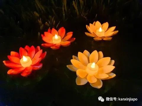 12月又一个超美的大型灯会，自由女神也降临啦……