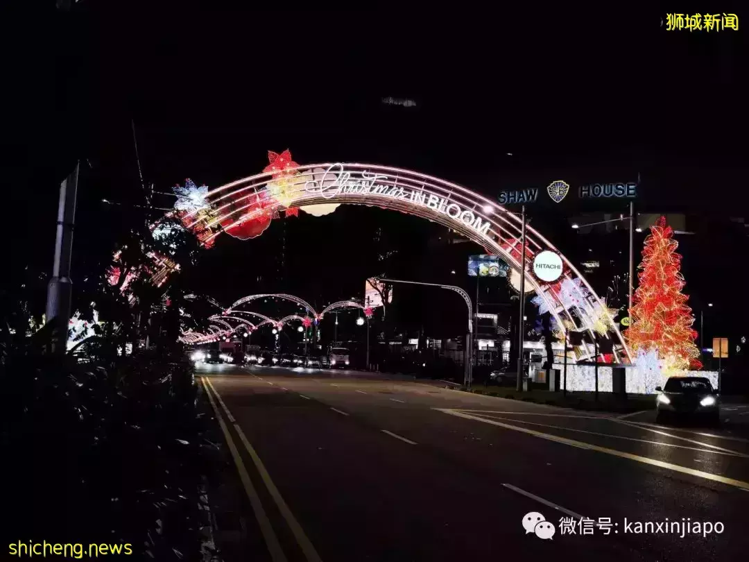 恐龍、卡丁車、公海之旅，親子聖誕去哪玩？看這篇就夠了