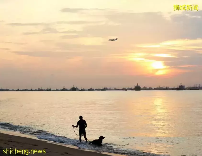 新加坡的野心，藏不住了！政府竟然把这块地拿出来卖