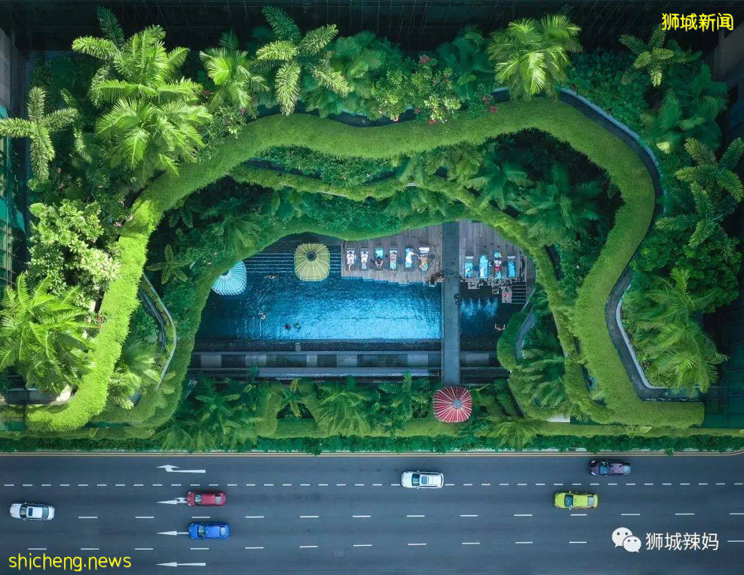 新加坡校园爆发疫情!中国妈妈:“以前的新加坡多好啊,现在......”