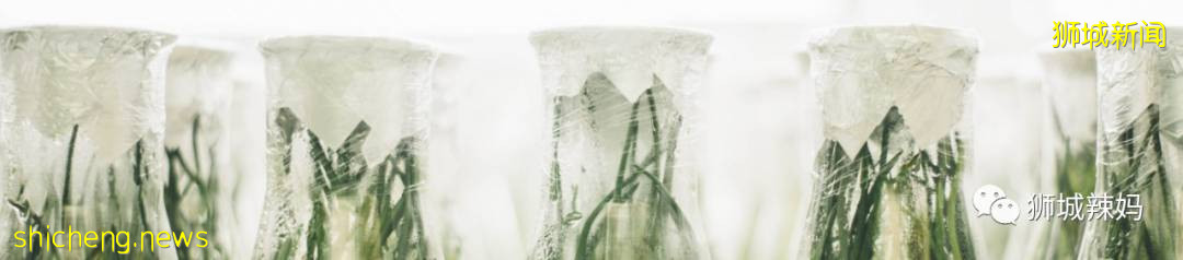 除了口罩和消毒液,在新加坡還能怎麽保護我們的孩子