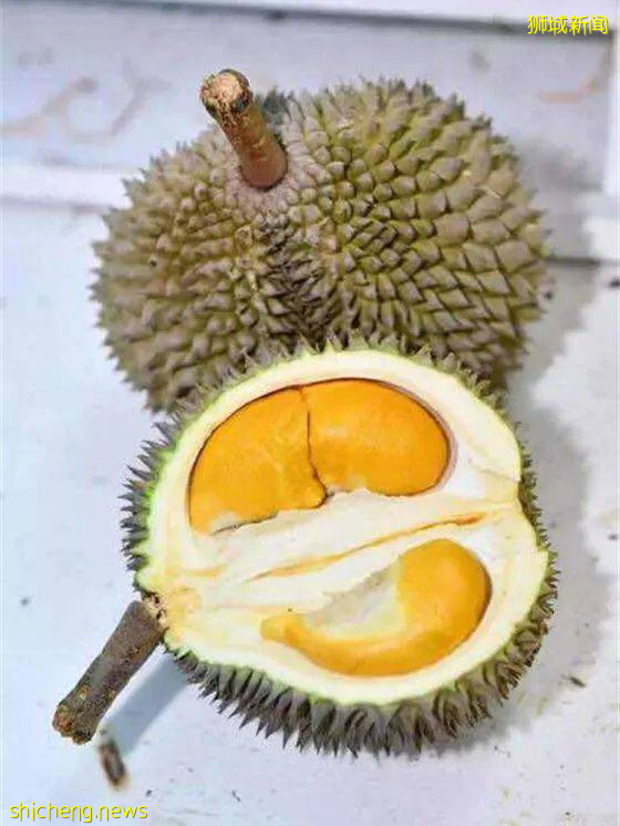 新加坡榴梿全攻略！實拍挑戰芥末和燒烤榴梿！太刺激了