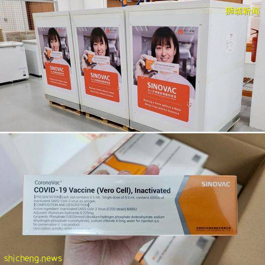 正式免費打科興！新加坡公布39家診所名單！李顯龍：不可能無限期封鎖