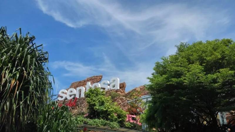 揭秘!新加坡這麽小,哪來的錢壕撒千億補貼