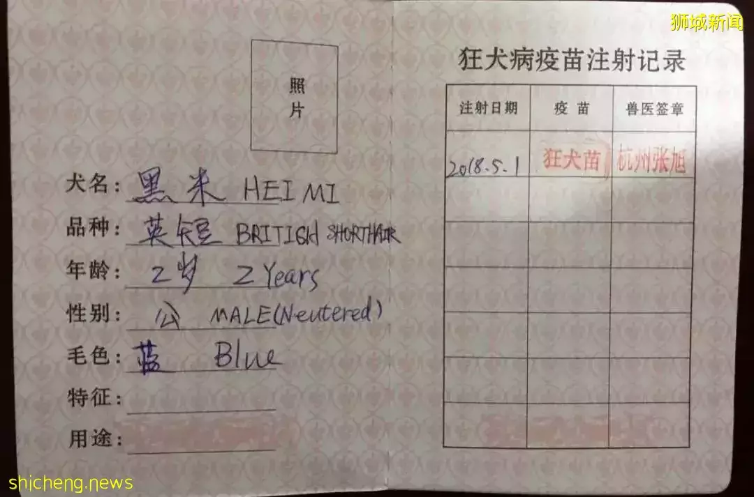 耗时6个月,隔离30天,我的宝贝终于来新加坡跟我团聚了