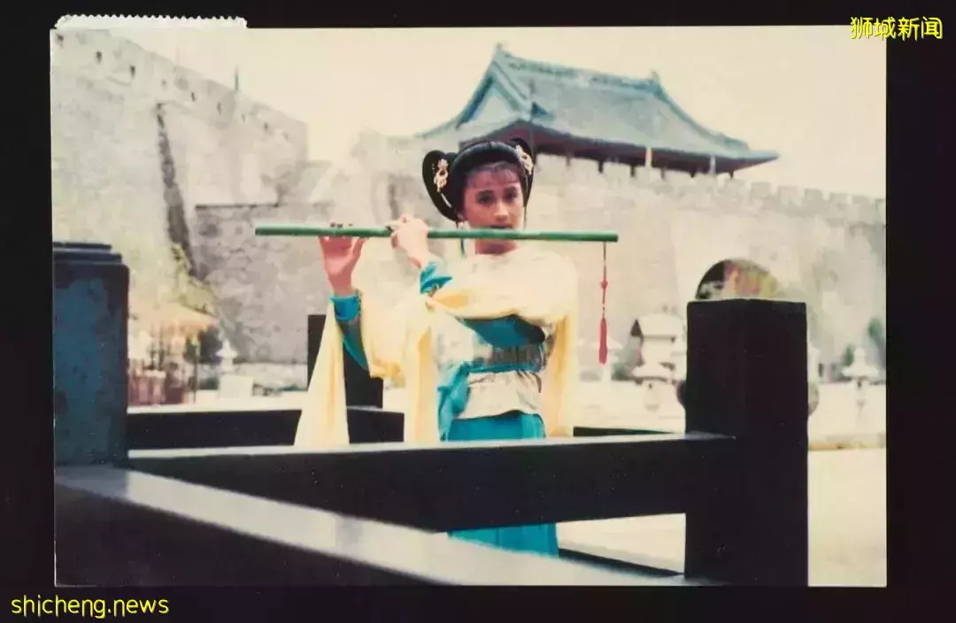 不可思议!新加坡曾有一座唐朝“长安城”,里面有城墙、兵马俑、骆驼