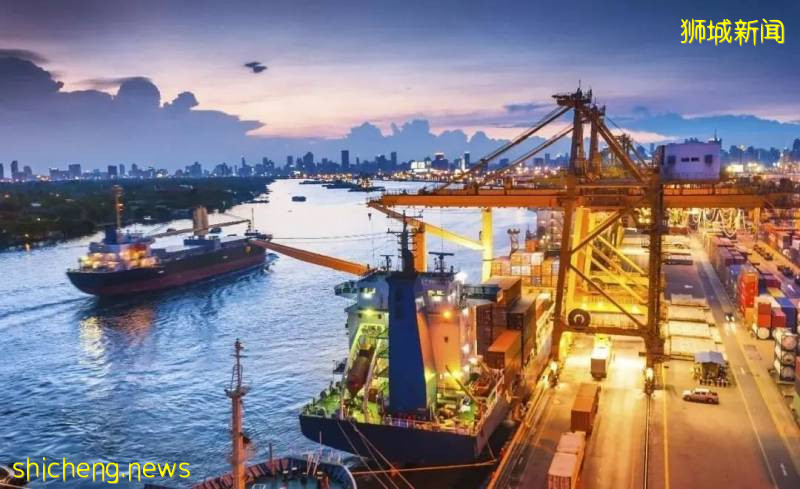 深度 新加坡，悲劇的宿命