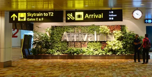 罕见!这个中国客工在新加坡非礼女性被鞭刑9下!他,潜逃海外13年后回来仍受罚