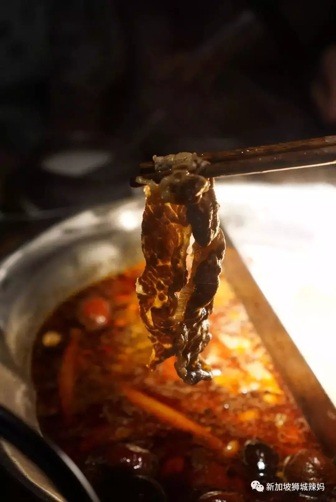 排队5小时!网红凑凑火锅来新加坡了!锅底无限续、奶茶免费喝!菜品大曝光