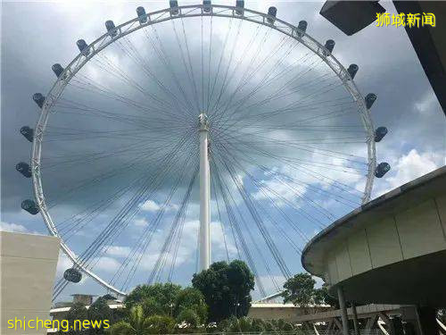 必读!留学生入境新加坡最新攻略,看起来