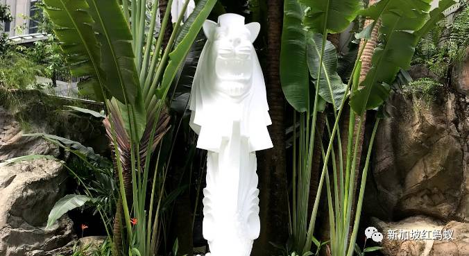 日本和歐洲也有魚尾獅? 它比你我知道的還要神出鬼沒