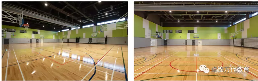 新加坡國際學校 【3】萊仕國際學校Nexus