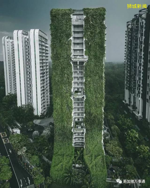 新加坡——全球最美花園城市