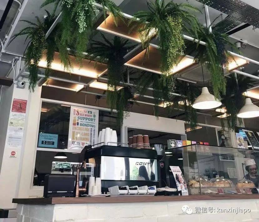 新加坡小伙伴注意!西部这8间网红咖啡厅,快去打卡