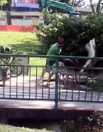 骑车与手推车相撞 送餐员对老汉咆哮   踢纸皮泄愤