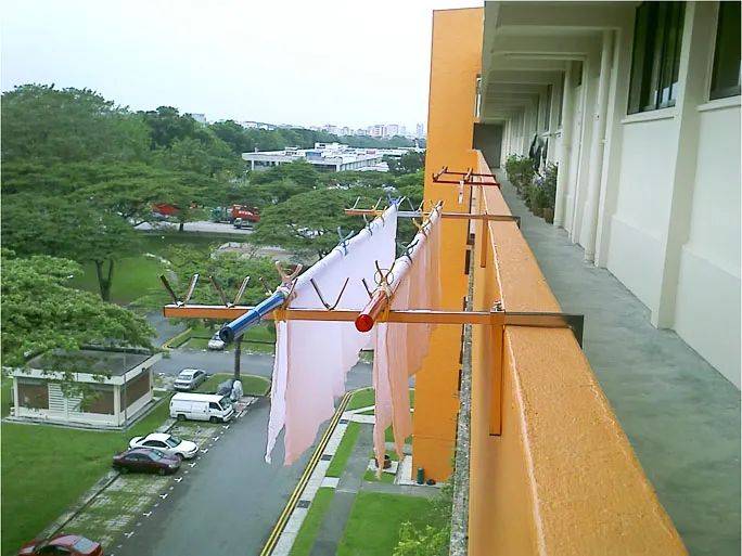 快過年了，竟有人在新加坡組屋走廊開“養雞場”，30只好熱鬧