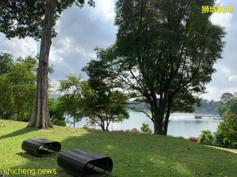 就在那时—记林谋盛烈士逝世75周年祭