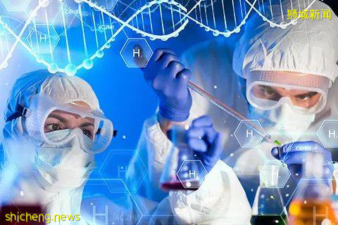 淡馬錫：占領中國市場