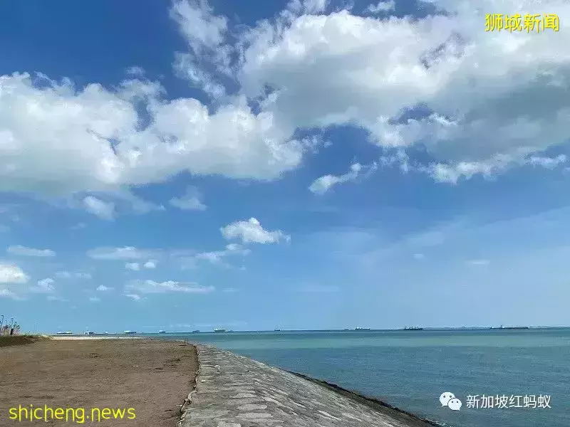 【圖文】這段18公裏沿海路線美爆了! 左看右看都不像在新加坡