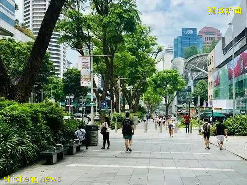 新加坡24个冷知识，你知道几个？带你了解“开放”的新加坡