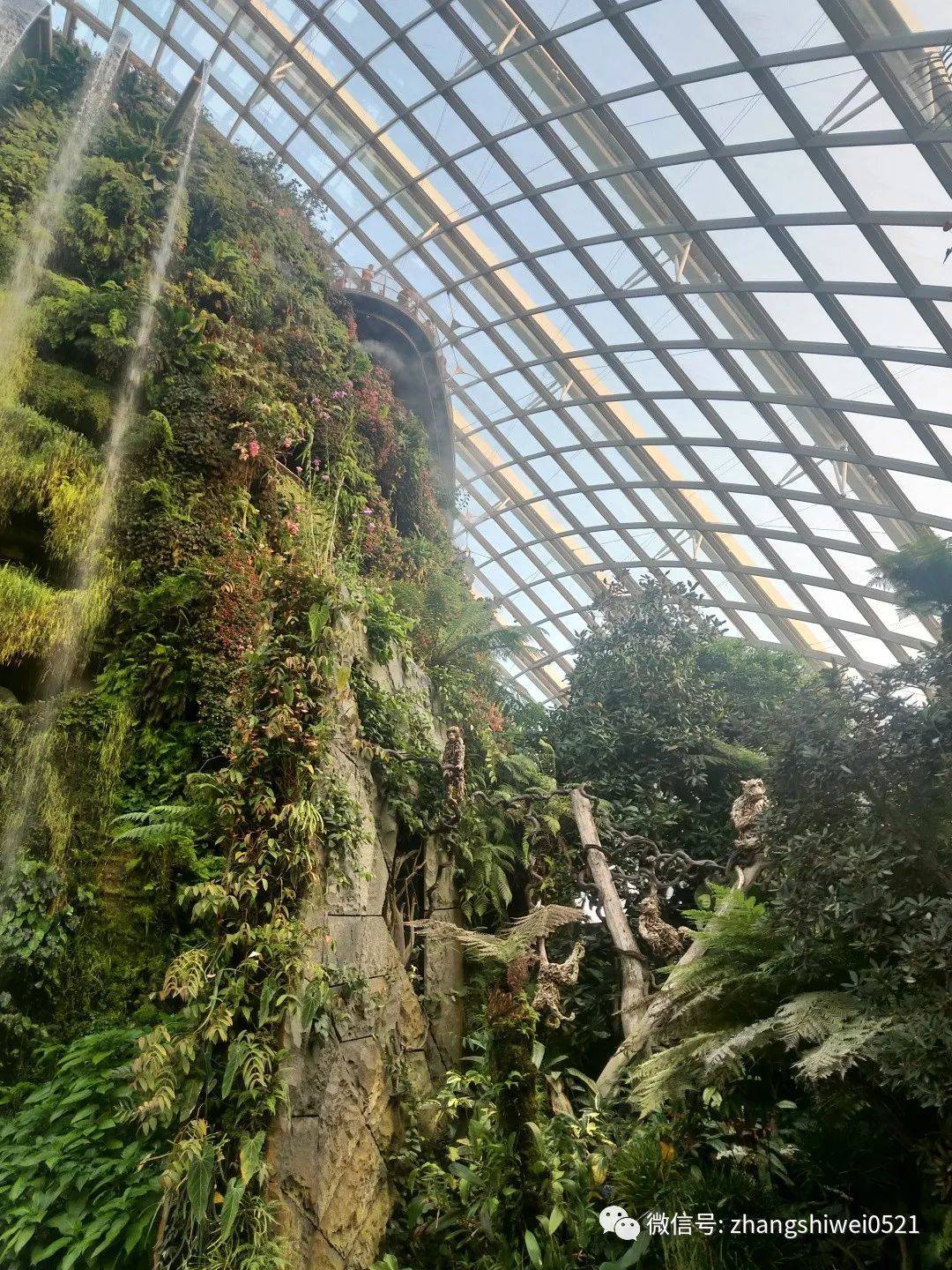 新加坡遊記系列 常規又不常規的獅城遊覽