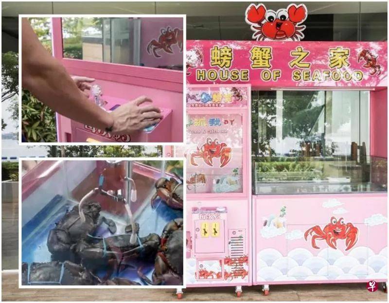 创意还是虐待？ 螃蟹之家娃娃机夹活蟹遭轰