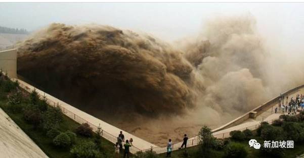 在新加坡工作这么长时间，最容易摆脱单身狗的公司知道是哪几家吗？