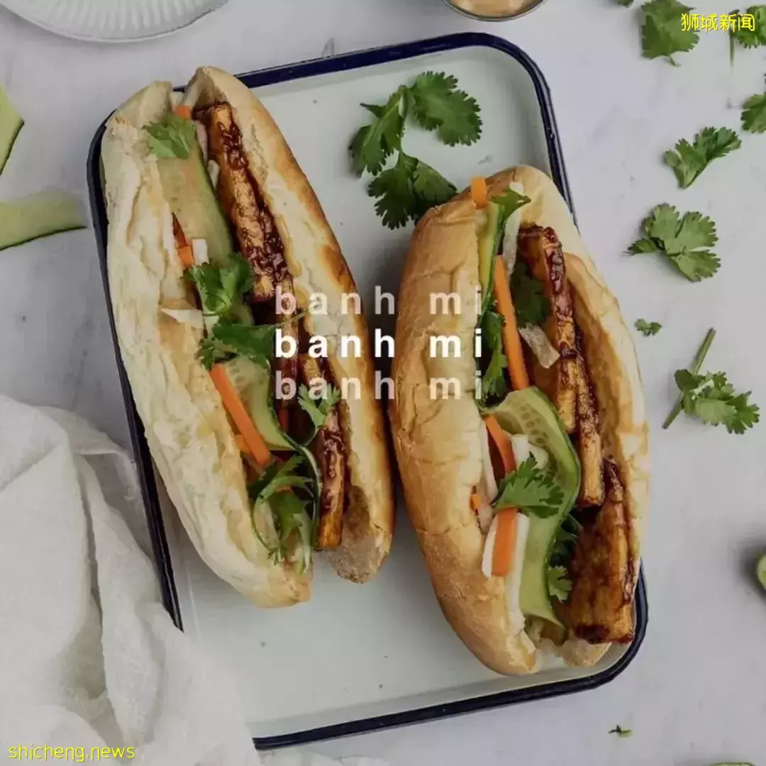 超新奇体验!新加坡有家越南餐馆可以和小马驹做朋友哦