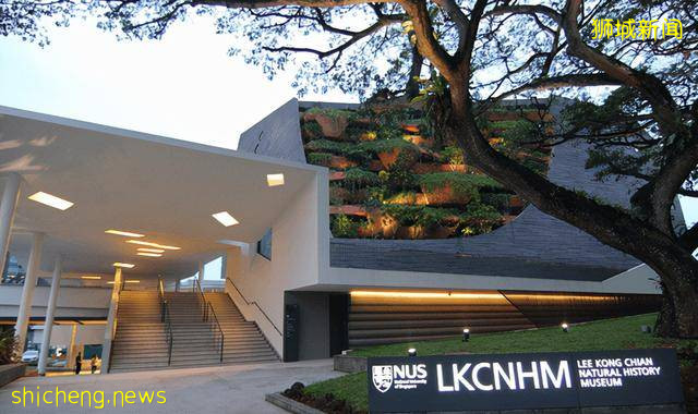 NUS研究发现 海黾历史与所生存洋流的历史紧密相连