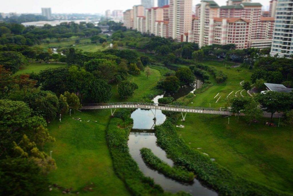 打卡新发现👉碧山宏茂桥公园📍自然景观+莲花池塘+湖畔舞台,遛狗散步不忘拍拍照💕