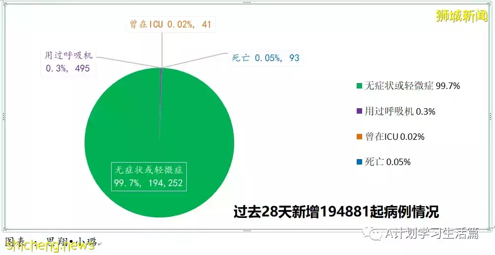 新增2568起，住院病患還有339人；新加坡冠病疫情持續好轉
