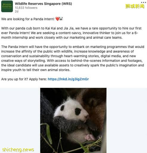 还在找工作吗？这里有新加坡最有爱的工作来试试吧