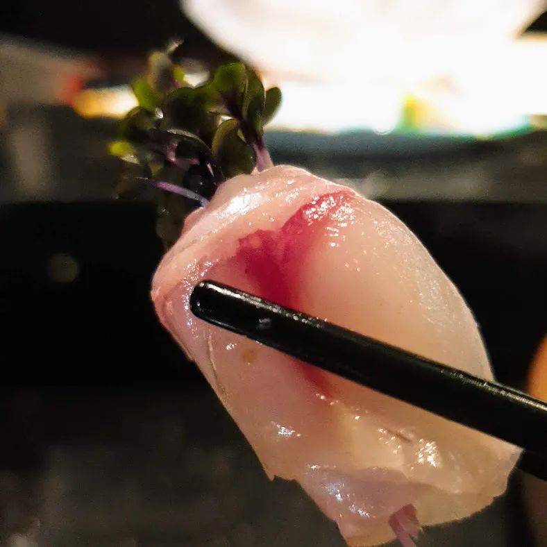 Shima滿足所有對日式料理的欲望