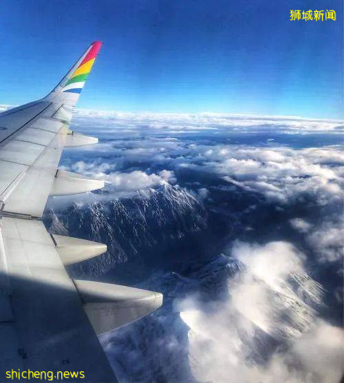 迷惑!就在这波防疫措施收紧前,鱼尾狮公园竟还有旅行团