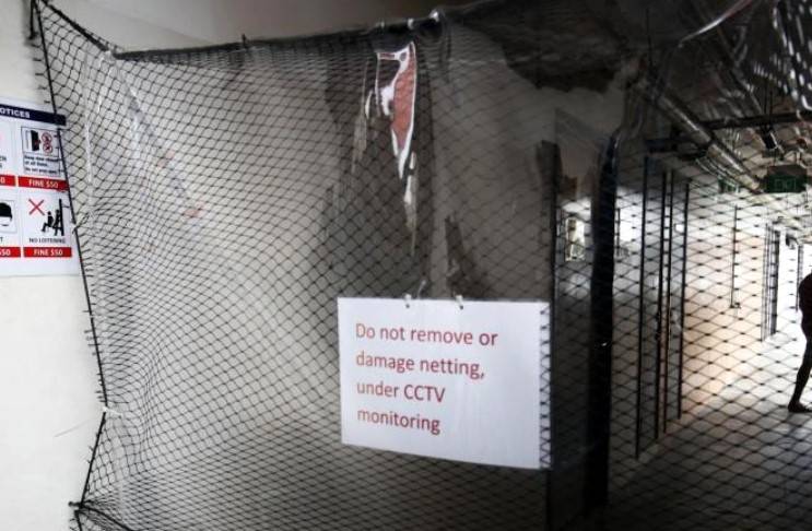 新加坡客工宿舍劃分“安全圈”！一旦出現病例減少隔離人數