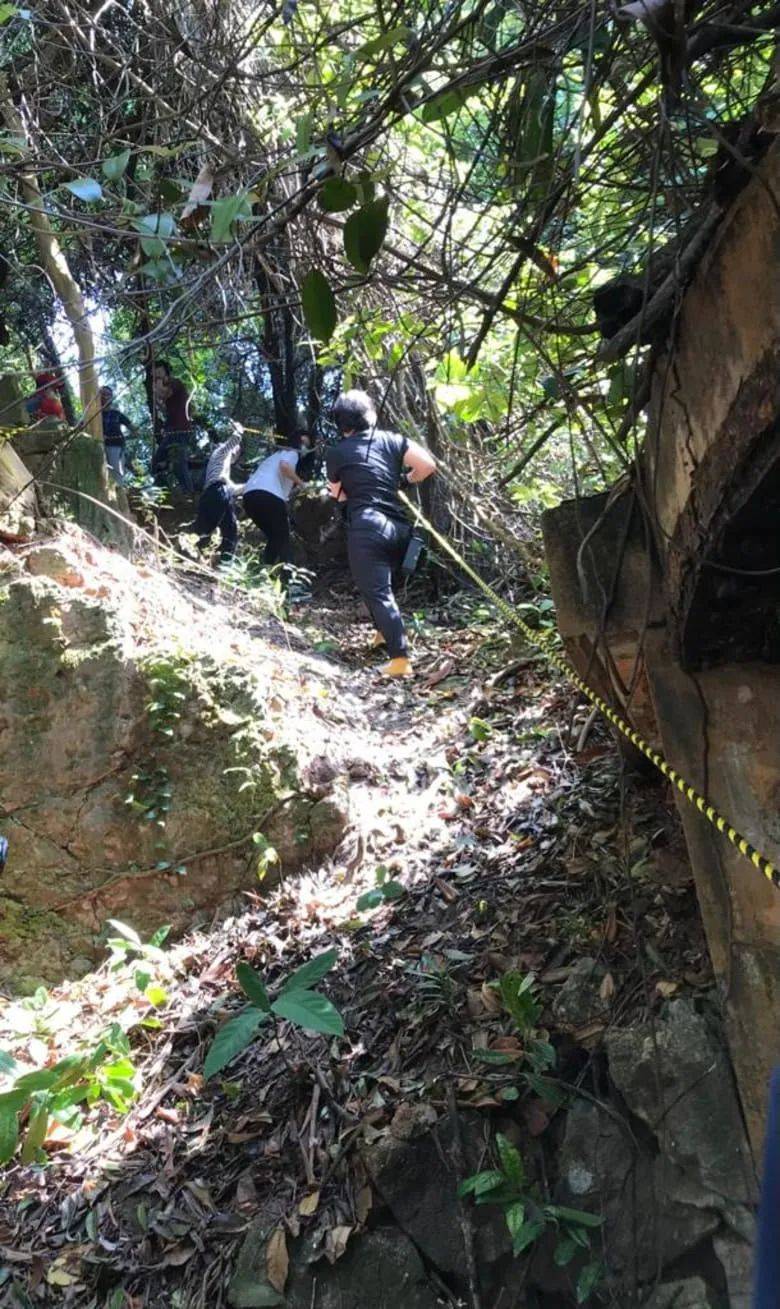 圣淘沙这个免费人少景美的遛娃胜地!我居然一次都没去过