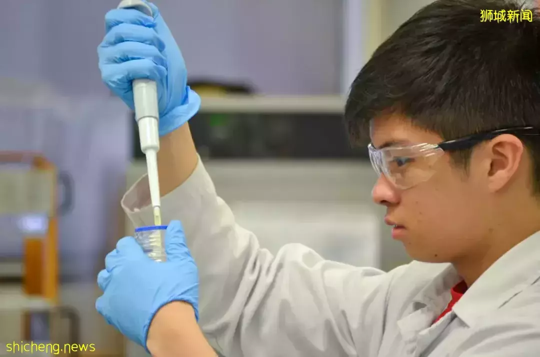 NUS 碩士申請 提前批申請即將開啓