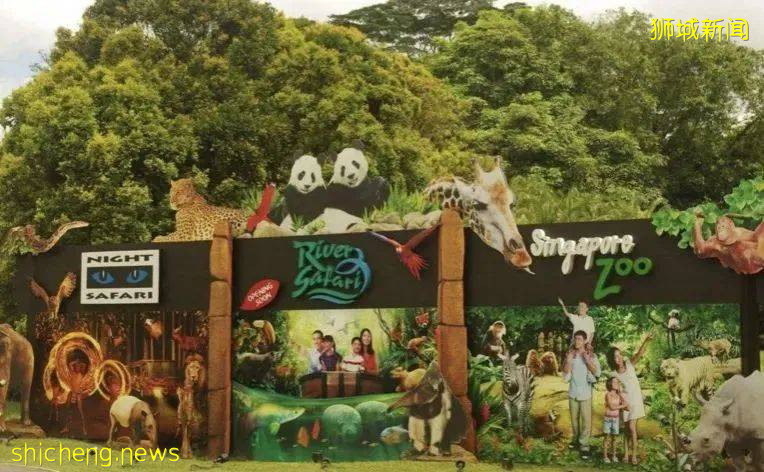 新加坡地鐵超全攻略！帶你玩轉獅城