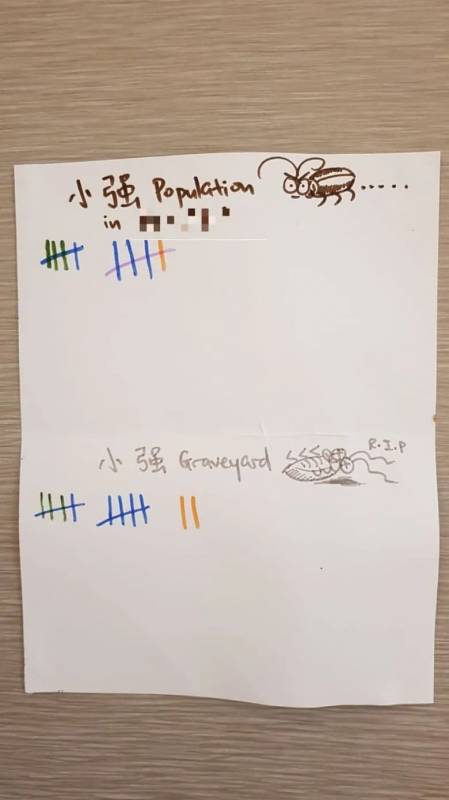 新加坡又一家五星级隔离酒店出现蟑螂,住客:10只活的+12只死的