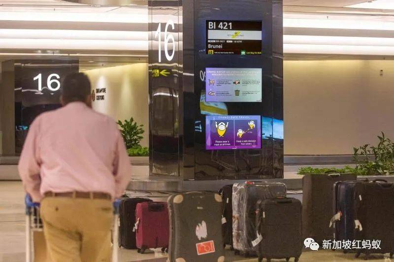 讓新加坡的天空再度熱鬧起來　交通部長：政府將積極主動出擊