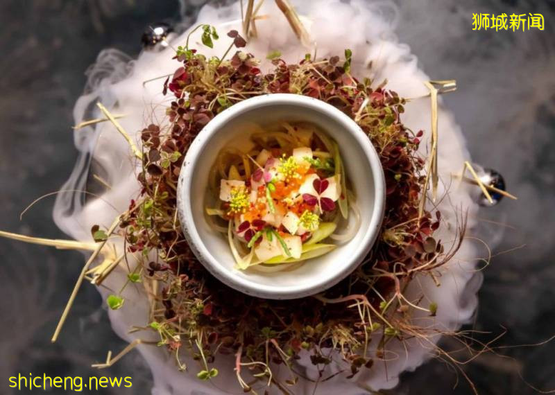 S.E.A海洋馆推出浪漫海底晚餐,感受与Manta共进晚餐的奇妙体验