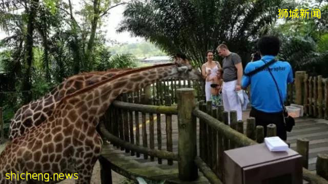 新加坡最全旅游攻略